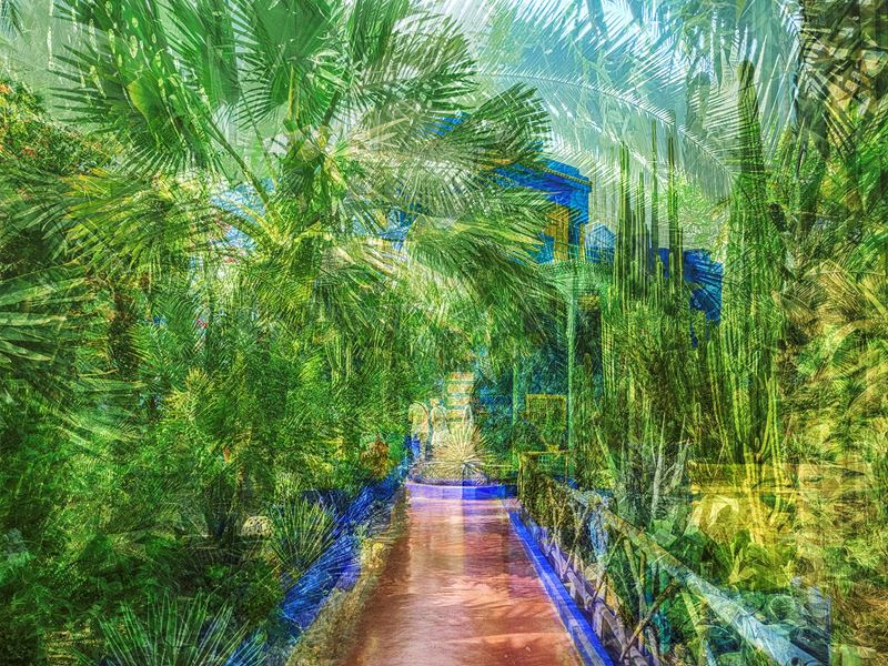 Francesca Meana : Marrakech, Jardin Majorelle  - Stampa fotografica su carta cotone - Mostra Racconti di paesaggi - Collezione da Tiffany