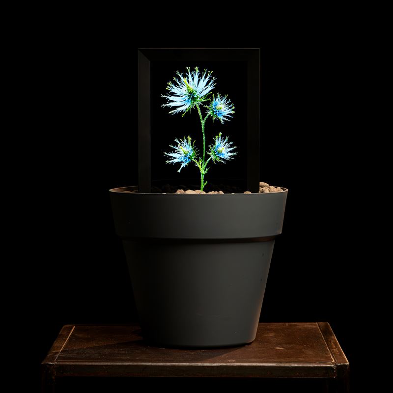 Matteo Mandelli : Sintetica Collective - FS249169  (2024)  - Vaso con terra reale e schermo integrato; fiori generati tramite intelligenza artificiale - Mostra Consistency - Collezione da Tiffany