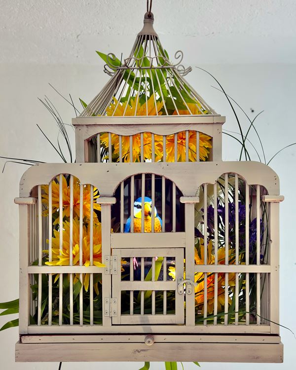 Matteo Mandelli - Sintetica Collective - Uccelli Sintetici #1